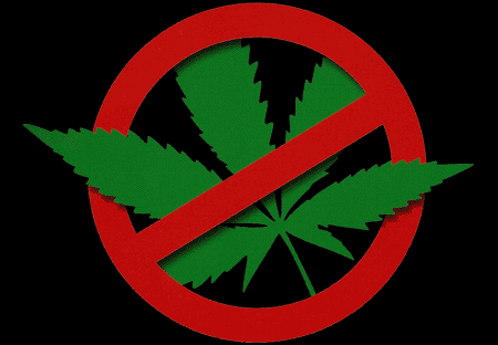 Titelmotiv des Buches "Rauschzeichen - Cannabis: Alles, was man wissen muss"
